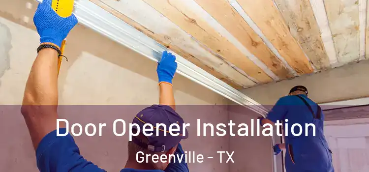  Door Opener Installation Greenville - TX