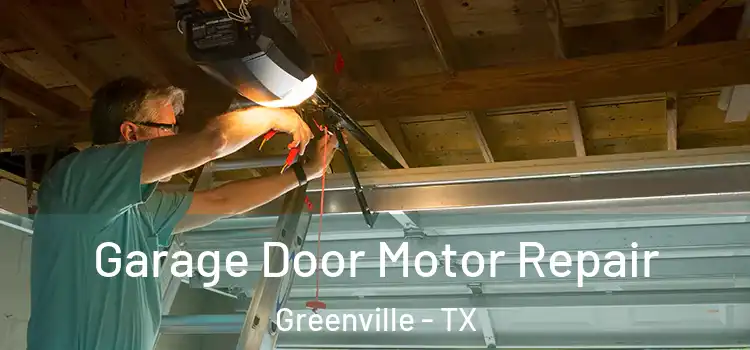  Garage Door Motor Repair Greenville - TX