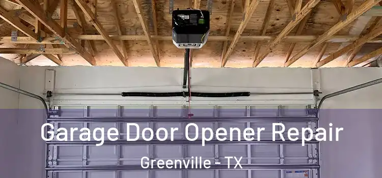 Garage Door Opener Repair Greenville - TX