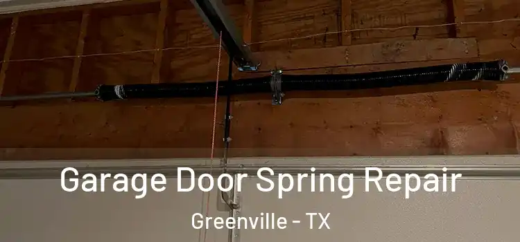  Garage Door Spring Repair Greenville - TX